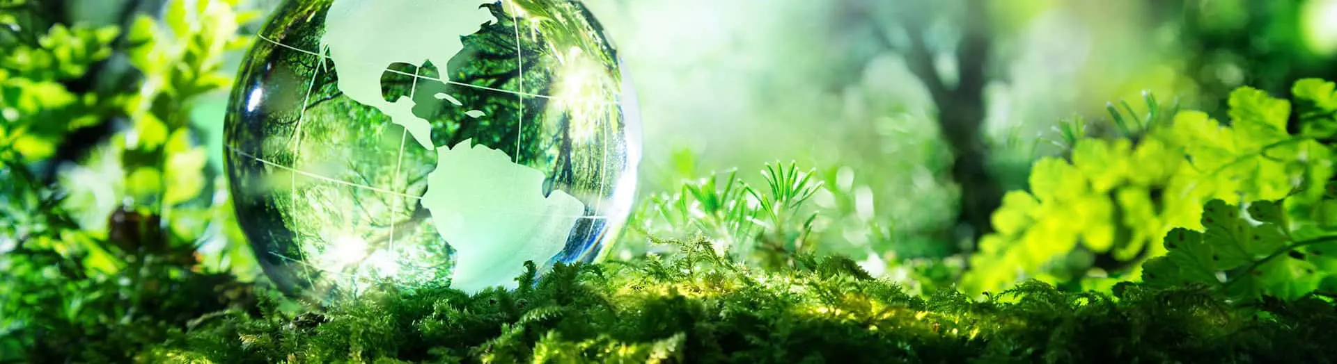 environment